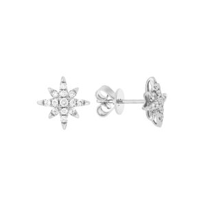 Broqueles de oro blanco con diamantes633